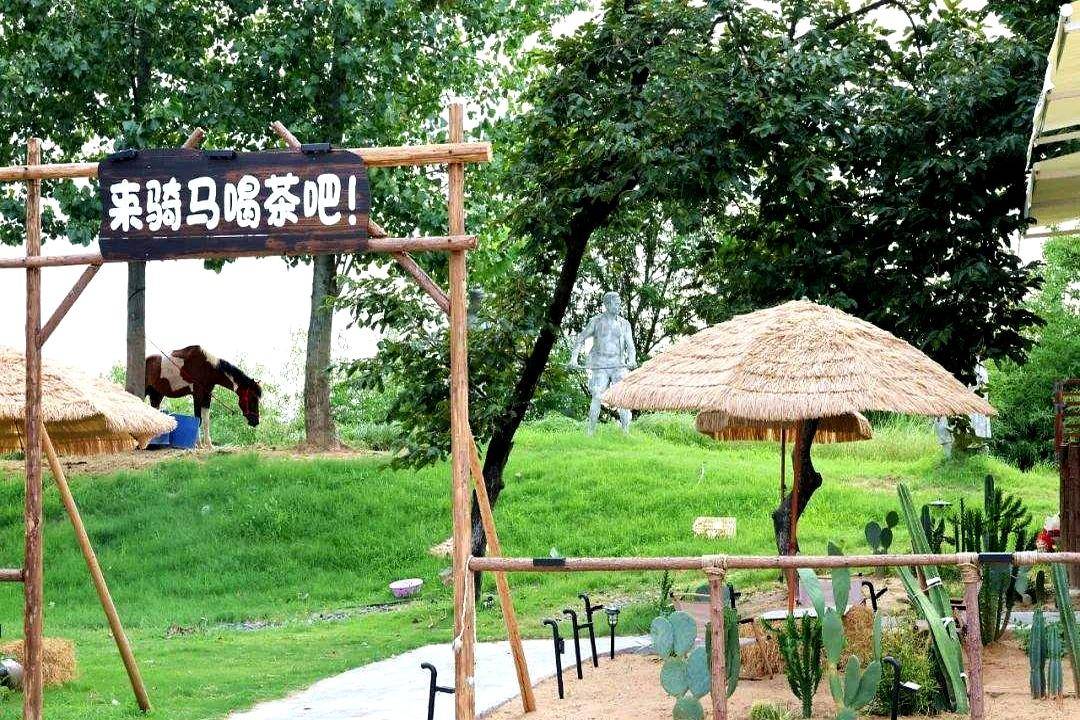 美上心田艺, 会新增野外, 能不能让我