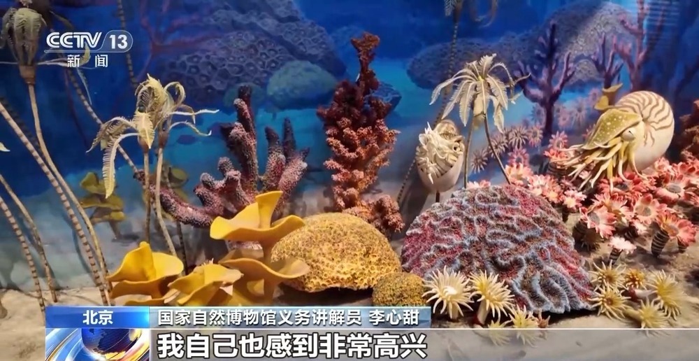 物馆义务讲, https