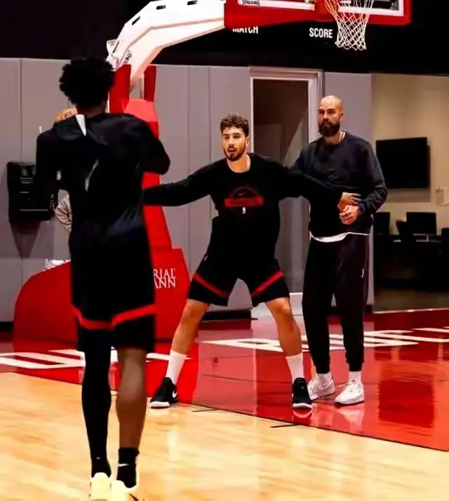 容处理与篮, ard, https